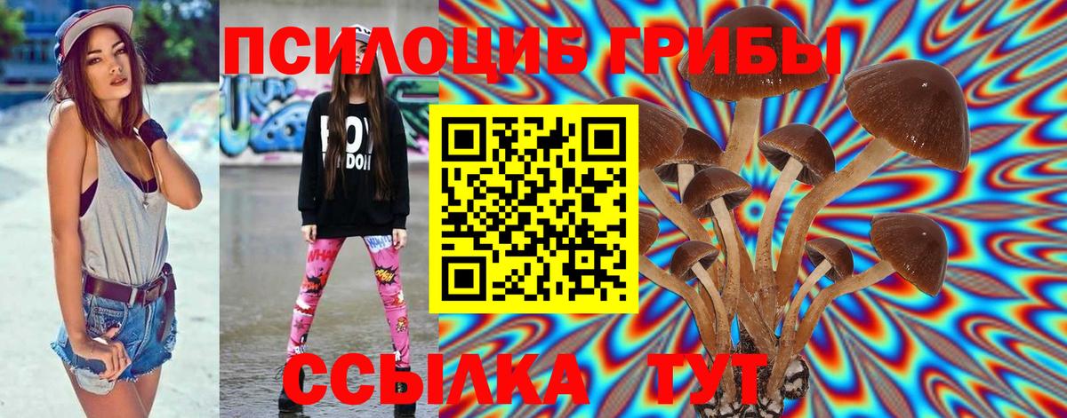 Псилоцибиновые грибы прущие грибы Кувандык